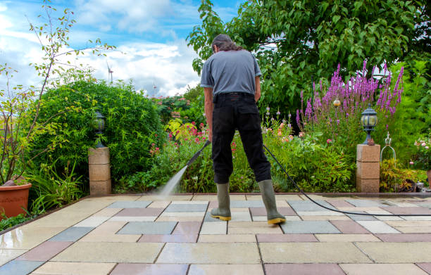 Best Winterizing Services  in Bodega Bay, CA