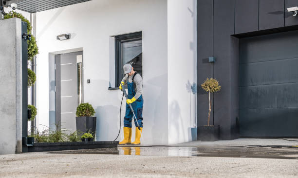 Best Graffiti Removal  in Bodega Bay, CA